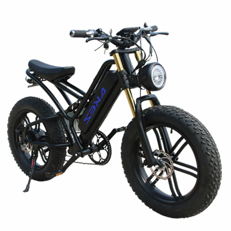 Electric Cruiser Bike Electric Bicycle Dual Shock Absorber