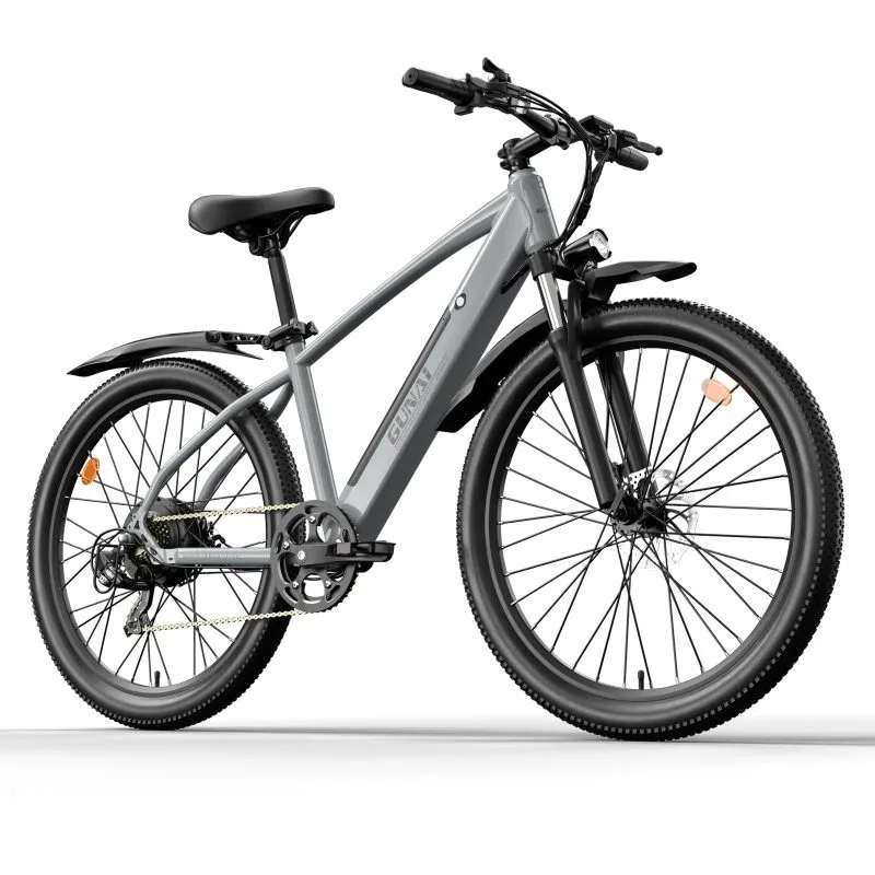 GUNAI 750W Electric Bicycle Motor, with 48V 10Ah