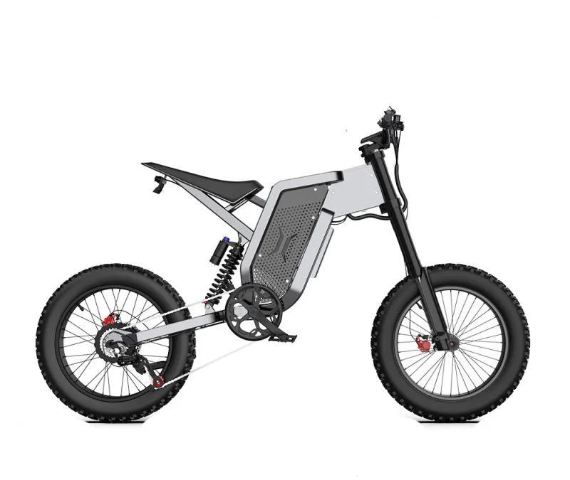 Adults Electric Bike 2000W 48V35AH 55km/h Samsung Battery Off Road Tyre Mountain
