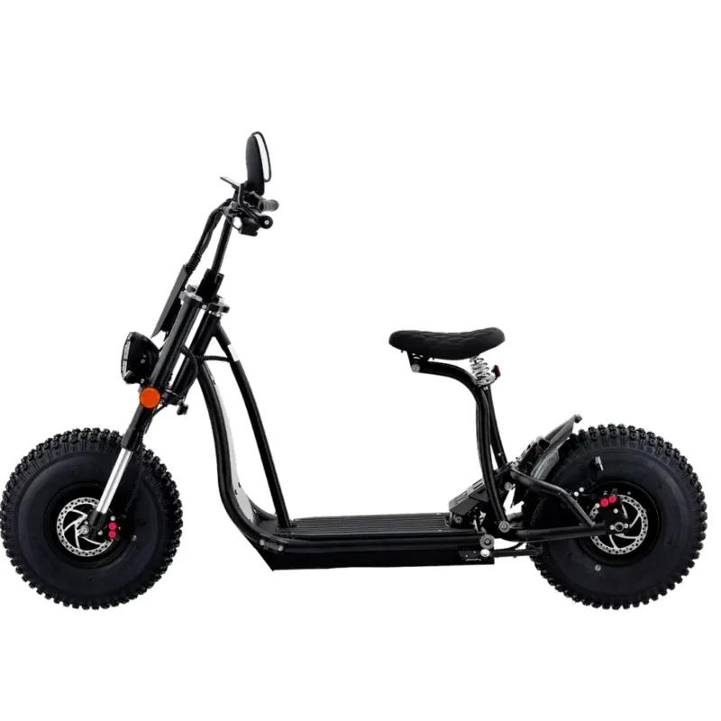 NEW 20 inch 48V 1000W 25AH mountain city adult electric bicycle folding electric fat tire dirt bike electric bicycle ebike