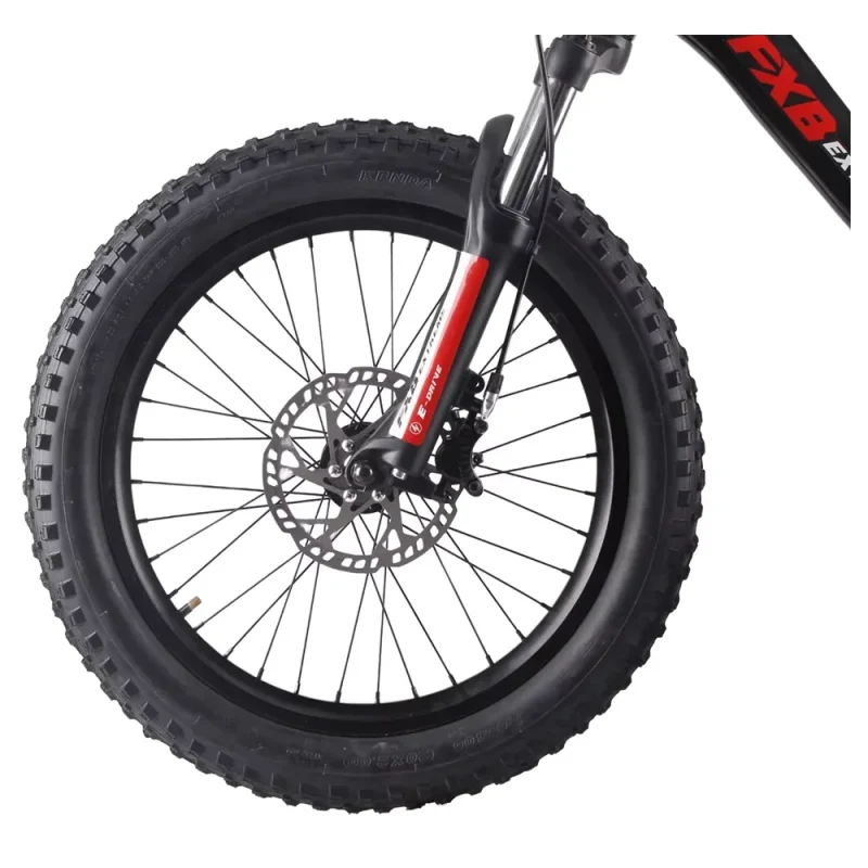 2025 new model Electric Balance Bike with 20-Inch off road bikes Removable Battery bikes